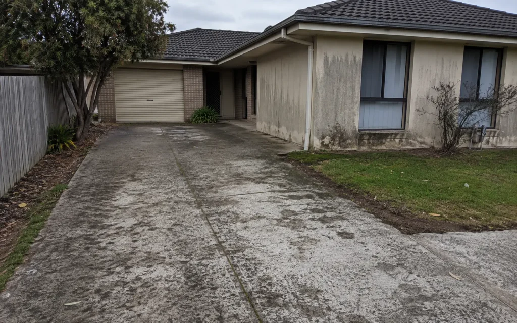 BEFORE: driveway greyed out with embedded grime and moss